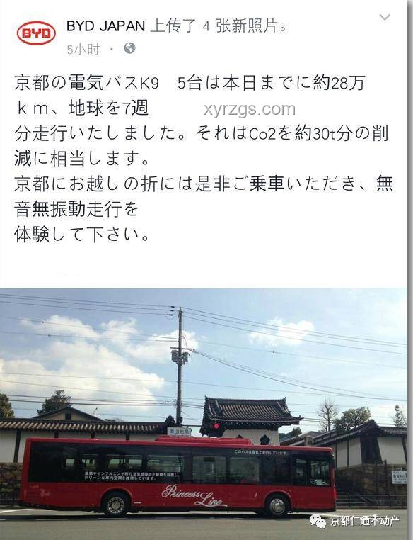 一中国游客日本京都遇袭，安全出行知识必读